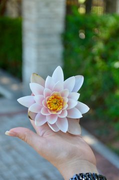 彩票分析